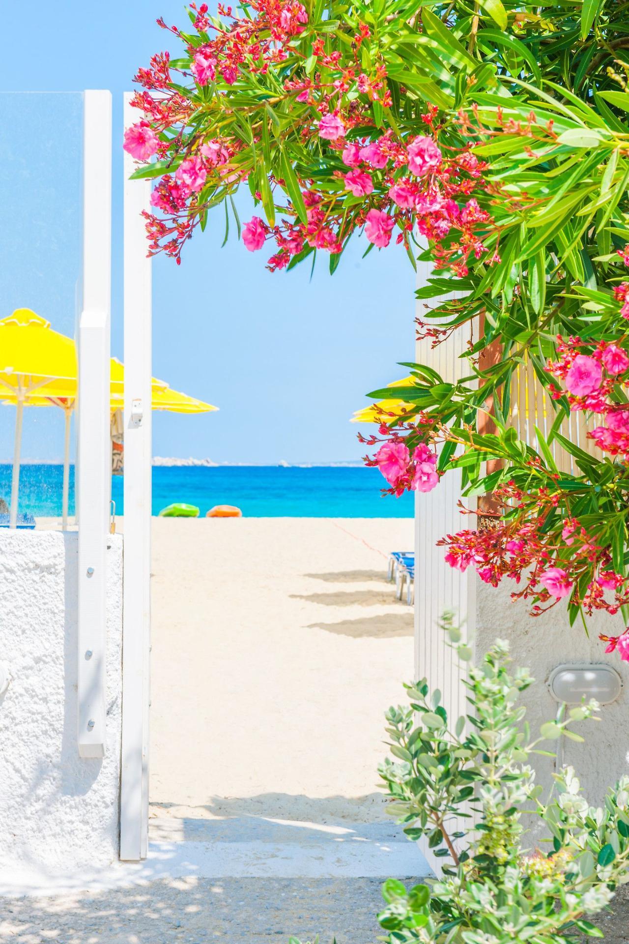 Mikri Vigla Hotel Εξωτερικό φωτογραφία